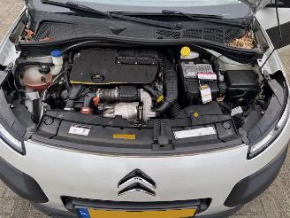 Citroën C4 cactus 1.6 HDI Limited Plus Pano picture 15