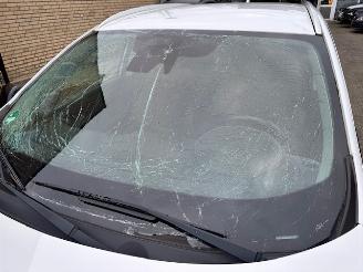 Renault Kadjar 1.3 TCE  Automaat  Bose (km 42.169) picture 8