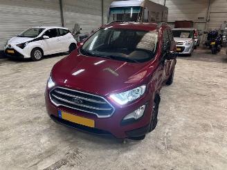 Ford EcoSport 1.0 EcoBoost Ultimate (km 54.810 NAP ) picture 17