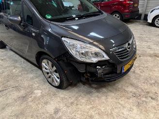 Opel Meriva 1.4 Turbo Cosmo  Nap picture 6