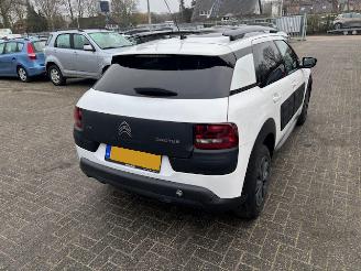 Citroën C4 cactus 1.6 HDI  Pano Business Plus picture 5