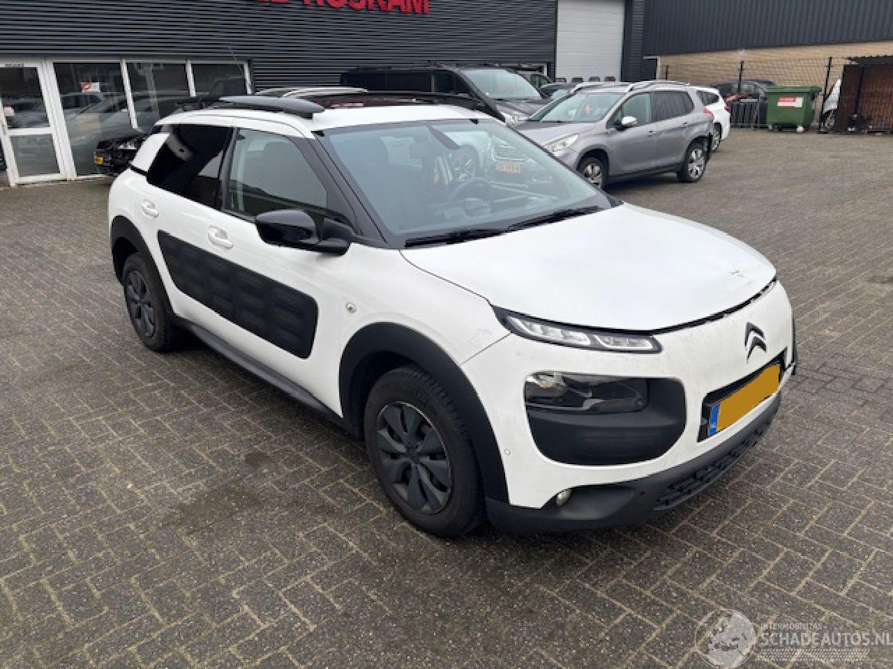 Citroën C4 cactus 1.6 HDI Pano Business Plus