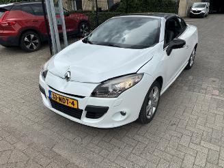 Renault Mégane 1.4 TCE Dynamique  NAP picture 6