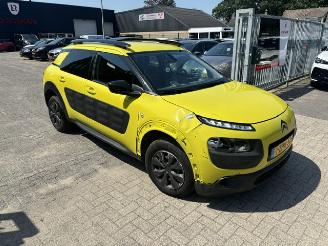 Citroën C4 cactus 1.2 VTI Shine Nap picture 5