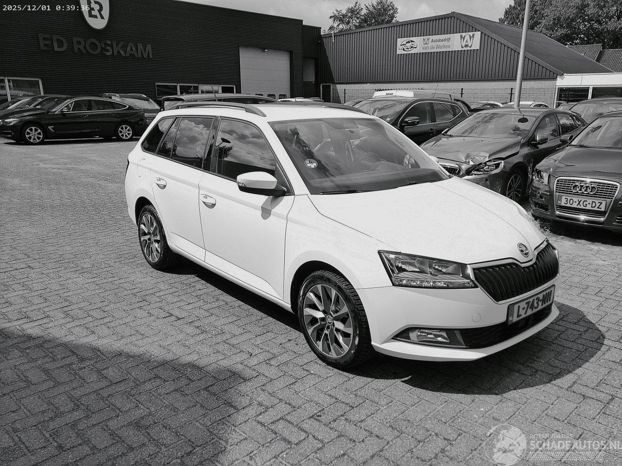 Skoda Fabia 1.0 TSI BUS. EDITION