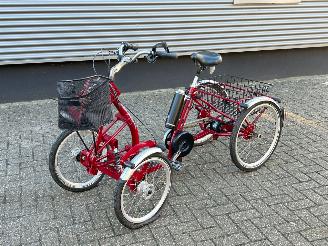 Unfall Kfz Fahrrad Overige  Pfau Tec Primo Vierwieler Elektrisch 2020/12