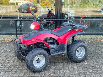 damaged motor cycles Quads  Eton Yukon 150cc Utility 2009/6