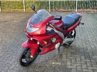 Yamaha YZF 600 R Thunder Cat picture 7