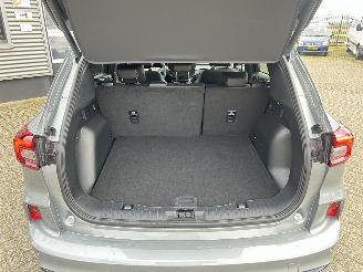 Ford Kuga 2.5 PHEV ST-Line X picture 13