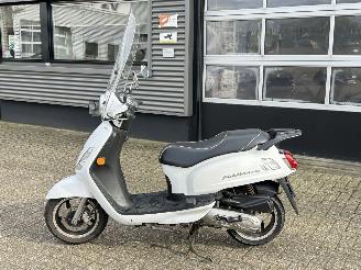 Sym  Fiddle 2 picture 2