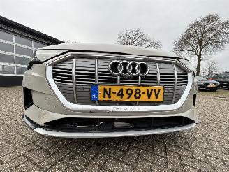 Audi E-tron 55 Quattro Advanced 95 kWh picture 40