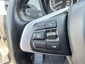 BMW X1 SDRIVE18I Centennial High Executive picture 20