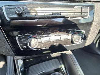 BMW X1 SDRIVE18I Centennial High Executive picture 25