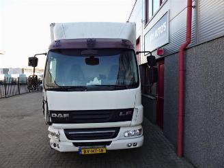 DAF FA 45 LF45G08 daf lf 45g08 6 meterbak met laadklep picture 8