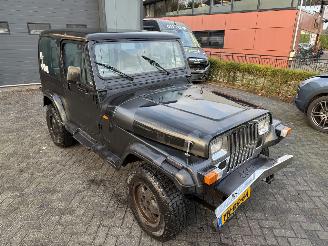 Jeep Wrangler 2.5i Hardtop (Terreinwagen 2-dr.) picture 15