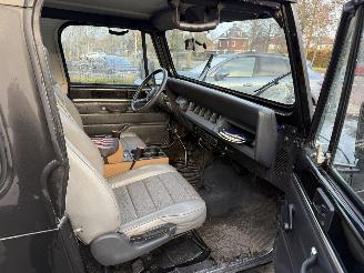 Jeep Wrangler 2.5i Hardtop (Terreinwagen 2-dr.) picture 21