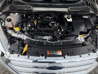 Ford Kuga 1.5 EcoBoost Trend Ultimate (SUV 5-dr.) picture 33