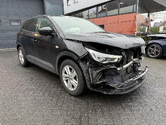 Opel Grandland 1.2 Turbo Online Edition (SUV 5-dr.) picture 3