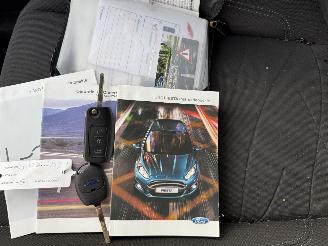 Ford Fiesta 1.0 EcoBoost Hot Hatch (Hatchback 5-dr.) picture 14