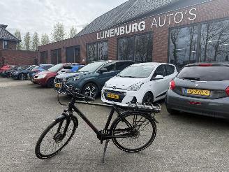 Stella  VINCENZA picture 1