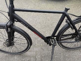 Stella  VINCENZA picture 12