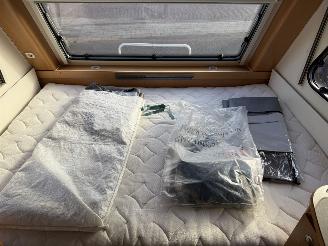 Kip  Celebration  44 ttz  MOVER  SCHADEVRIJ picture 26