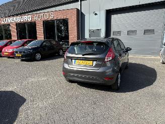 Vaurioauto  passenger cars Ford Fiesta 1.25 (Hatchback 5-dr.) 2017/5
