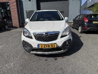 Opel Mokka 1.4 T Cosmo (SUV 5-dr.) picture 18