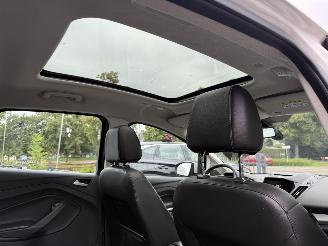 Ford C-Max 2.0 Plug-in Hybrid Titanium Plus (MPV 5-dr.) picture 35
