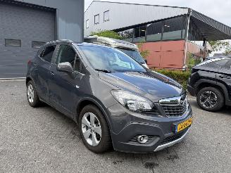 Opel Mokka 1.4 T Innovation (SUV 5-dr.) picture 7