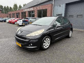  Peugeot 207 1.4 VTi Cool \'n Blue (Hatchback 5-dr.) 2009/1