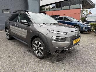 Citroën C4 cactus 1.2 PureTech One-Tone (SUV 5-dr.) picture 7