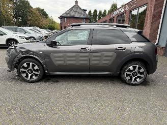 Citroën C4 cactus 1.2 PureTech One-Tone (SUV 5-dr.) picture 2