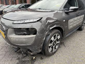 Citroën C4 cactus 1.2 PureTech One-Tone (SUV 5-dr.) picture 11