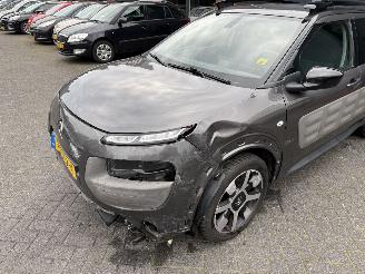 Citroën C4 cactus 1.2 PureTech One-Tone (SUV 5-dr.) picture 20