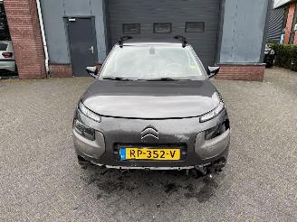 Citroën C4 cactus 1.2 PureTech One-Tone (SUV 5-dr.) picture 8