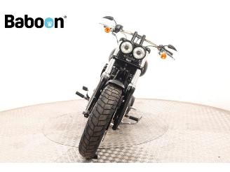 Harley-Davidson  FXDF Dyna Fat Bob picture 3