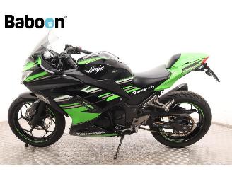 Kawasaki  Ninja 300 picture 5