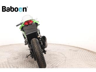 Kawasaki  Ninja 300 picture 7