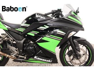 Kawasaki  Ninja 300 picture 12