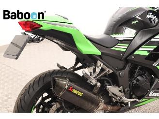 Kawasaki  Ninja 300 picture 9