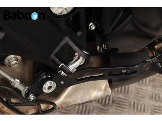 Benelli  Leoncino 500 picture 16