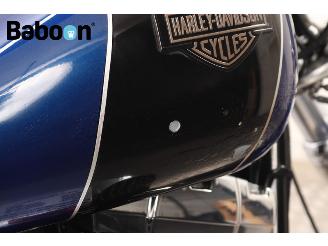 Harley-Davidson  FXDL Dyna Low Rider picture 14