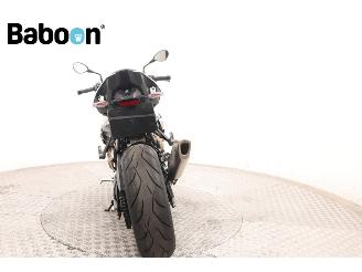 BMW S 1000 R ABS picture 7