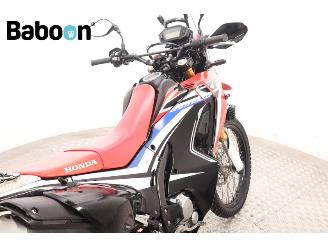 Honda CRF 250 Rally picture 17