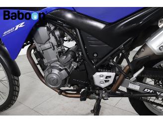 Yamaha XT 660 R picture 18