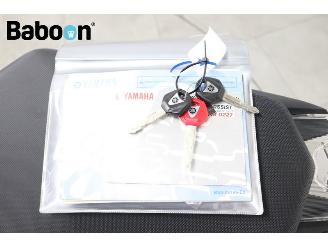 Yamaha MT-09 ABS picture 23