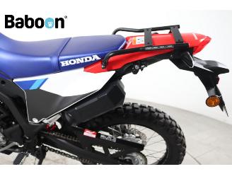 Honda  CRF 300 Rally picture 23