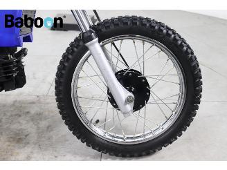 Yamaha  PW 80 picture 10