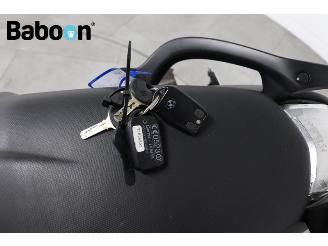 BMW K 1300 R ABS picture 24